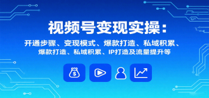 视频号变现实操,含开通步骤、变现模式、爆款打造、私域积累、IP打造及流量提升等-世康聊项目