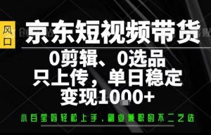你出账号，我来运营，保底日入1k+，开启躺賺模式【揭秘】-世康聊项目