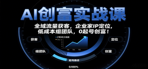 AI创富实战课：企业家IP定位，全域流量获客，低成本组团队，0起号创富！-世康聊项目