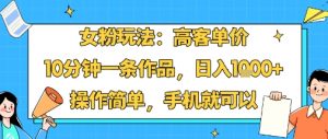 女粉玩法：高客单价，10分钟一条作品，日入1k+操作简单，手机就可以-世康聊项目