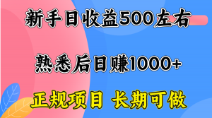 一台电脑，前期日收益300-500，熟练后日入1000左右-世康聊项目