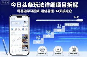 今日头条玩法详细项目拆解，零基础学习视频 通俗易懂 14天搞定它-世康聊项目