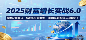 2025财富增长实战6.0，聚焦7大风口，结合6行业案例，小团队轻松年入200万！-世康聊项目