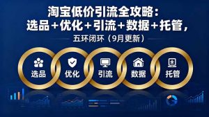 淘宝低价引流全攻略:选品+优化+引流+数据+托管,五环闭环(9月更新-世康聊项目