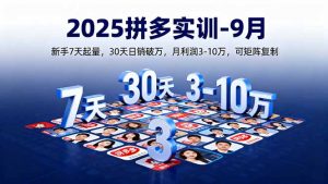 2025拼多多实训-9月:新手7天起量,30天日销破万,月利润3-10万,可矩阵复制-世康聊项目