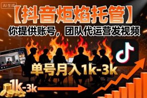 【抖音炬焰托管】你提供账号,团队代运营发视频,单号月入1k+【揭秘】-世康聊项目