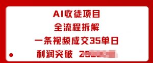 AI收徒项目全流程拆解一条视频成交35单日利润突破1k+-世康聊项目