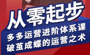 拼多多运营进阶系统课,从零起步,多多运营进阶体系课,破茧成蝶的运营之术(更新9月)-世康聊项目