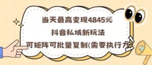 当天最高变现1k+,抖音私域新玩法,可矩阵可批量复制-世康聊项目