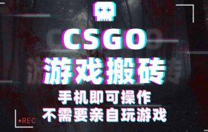 CSGO游戏挂机捡漏，单日扫货500+，年底小高峰上车可吃肉，手机即可操作…-世康聊项目