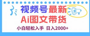 视频号最新AI图文带货，每天几分钟，小白轻松入手，日入2000+-世康聊项目