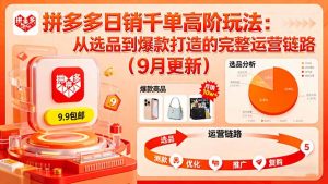 拼多多日销千单高阶玩法:从选品到爆款打造的完整运营链路(9月更新-世康聊项目