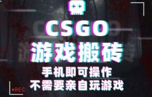 CSGO游戏挂G捡漏，单日扫货5张+，年底小高峰上车可吃肉，手机即可操作，兼职副业创业网创【揭秘】-世康聊项目