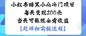 小红书暗黑小众冷门项目每天变现2张当天可能就会有收益-世康聊项目