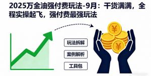2025万金油强付费玩法-9月：干货满满，全程实操起飞，强付费最强玩法-世康聊项目