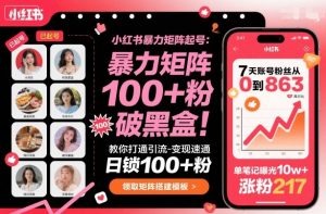小红书暴力矩阵起号，教你打通引流-变现速通，日锁100+粉，破流量黑盒-世康聊项目