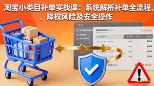 淘宝小类目补单实战课：系统解析补单全流程、降权风险及安全操作-世康聊项目