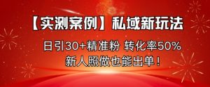 【实测案例】私域新玩法,日引30+精准粉,转化率50%,新人照做也能出单!-世康聊项目