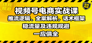 视频号电商实战课：推流逻辑、全案解析，话术框架，稳流量及违规规避等-世康聊项目