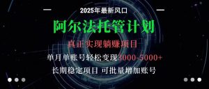 阿尔法托管计划 单账号月入3000-5000，长期稳定项目，新手小白轻松上手-世康聊项目