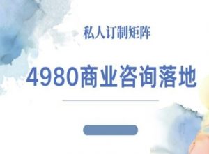 4980商业咨询师落地课程-ip运营高客单教程-世康聊项目