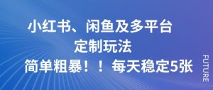 小红书、闲鱼及多平台定制玩法简单粗暴！每天稳定5张-世康聊项目