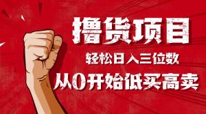 手把手教你撸货，从0开始低买高卖，小白轻松实现日入三位数!!!-世康聊项目