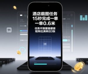 酒店截图任务,15秒完成一单,一单0.6米,任务不限量随便接,矩阵拉满单日3张【揭秘】-世康聊项目