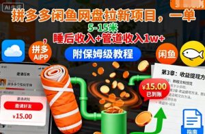 拼多多闲鱼网盘拉新项目,一单5-15米,睡后收入+管道收入1w+(附保姆级教程)-世康聊项目