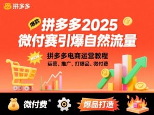 拼多多2025微付费引爆自然流量,拼多多电商运营教程,运营、推广、打爆品、微付费(更新)-世康聊项目