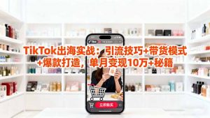 「TikTok出海实战」引流技巧+带货模式+爆款打造,单月变现10万+秘籍-世康聊项目
