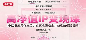 高净值IP变现课：小红书差异化定位，文案点赞成金， AI高效做短视频-世康聊项目