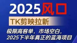 2025风口TK剪映capcut拉新项目,极限高客单,市场空白,2025下半年真正的蓝海项目-世康聊项目