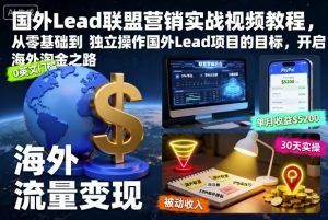国外Lead联盟营销实战视频教程，从零基础到独立操作国外Lead项目的目标，开启海外淘金之路-世康聊项目