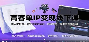 高客单IP变现线下大课：素人IP打造，美业流量方法论，销转模型，脚本与拍摄剪辑-世康聊项目