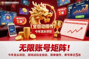无限账号矩阵！今年龙头项目，游戏试玩全自动，简单操作，单号单日5张【揭秘】-世康聊项目