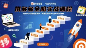 拼多多全阶实战课程，从新手小白到运营高手，海量实战玩法+全年实时更新【2025年10月更新】-世康聊项目