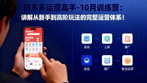 拼多多运营高手-10月训练营:讲解从新手到高阶玩法的完整运营体系!-世康聊项目