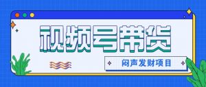 微信视频号带货项目,轻松日赚赚2000+,这个挣钱入口很多伙伴都在闷声发财-世康聊项目