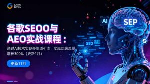 谷歌SEO与AEO实战课程:通过AI技术实现多渠道引流,实现网站流量增长300%-世康聊项目