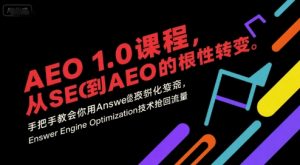 AEO 1.0 课程，从SEO到AE0的基命性转变，手把手教会你用AnswerEngineOptimization技术抢回流量(更新)-世康聊项目