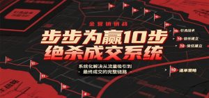 步步为赢10步绝杀成交系统，系统化解决从流量吸引到最终成交的完整链路-世康聊项目