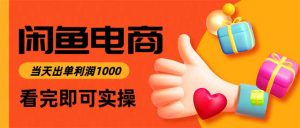 闲鱼高利润电商,当天上架当天出单,一单利润300-世康聊项目