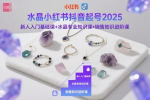水晶小红书抖音起号2025,新人入门基础课+水晶专业知识课+销售知识进阶课-世康聊项目