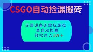 CSGO自动捡漏搬砖,当天操作当天见结果,无需了解游戏,包教包会包落地-世康聊项目