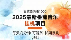 2025年最新番茄音乐人挂机项目，每天几分钟，月入1000＋，可矩阵，一台…-世康聊项目