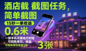 酒店截图任务,简单截图,15秒一单收益0.6米,一部手机不限地方时间,可矩阵单日收益3张【揭秘】-世康聊项目