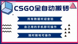 CSGO全自动搬砖，年底钱回家好项目，当天可拿到结果，新手小白轻松月入1W+【揭秘】-世康聊项目