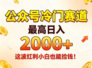 公众号冷门赛道，最高日入1k+，这波红利小白也能捡钱！-世康聊项目