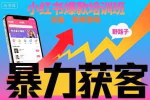 小红书爆款培训班，小红书获客野路子流量打法，暴力持续获客-世康聊项目